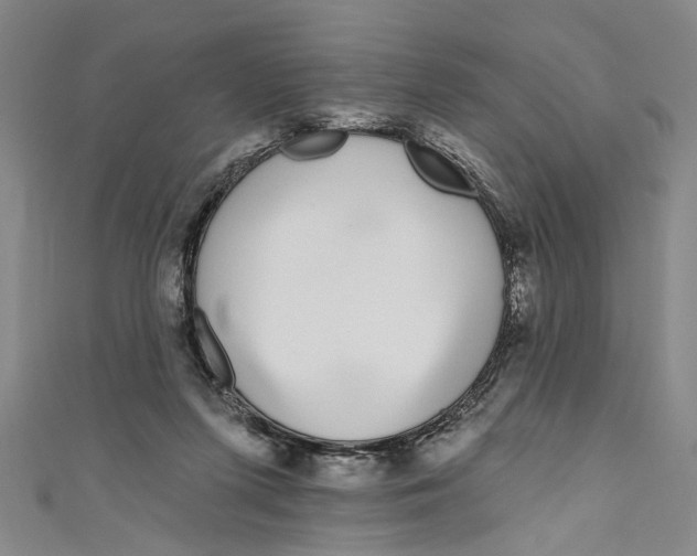 X0000111180215200907221055