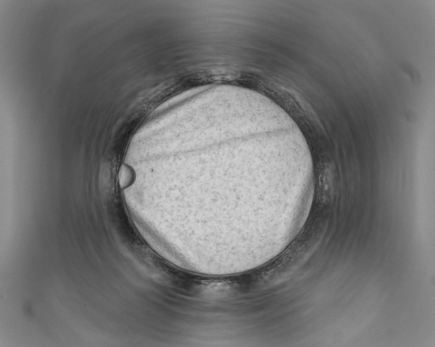 X0000111180218200907221055