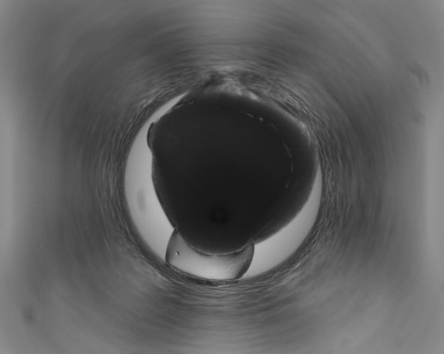 X0000111180219200907221055