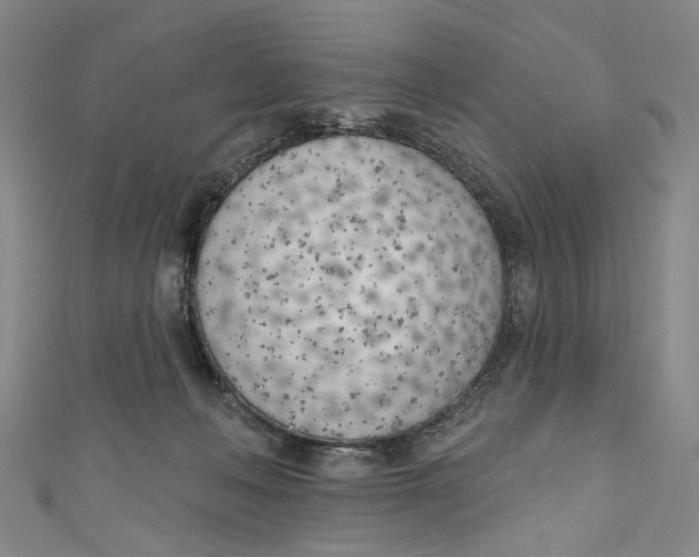 X0000111180222200907221055