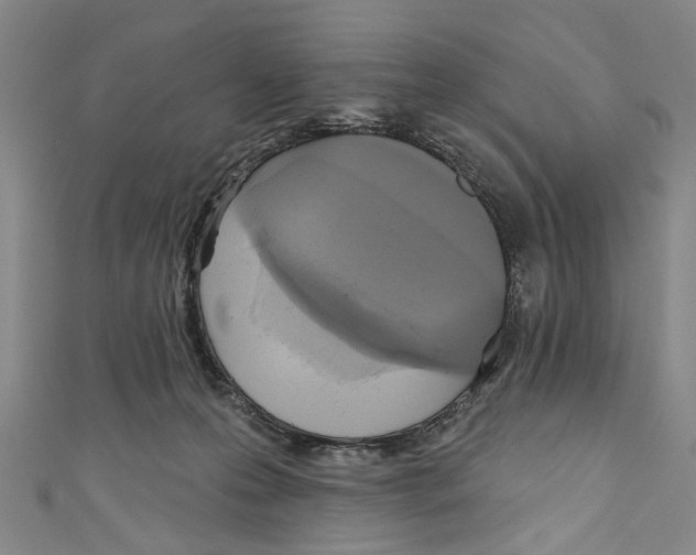 X0000111180223200907221055