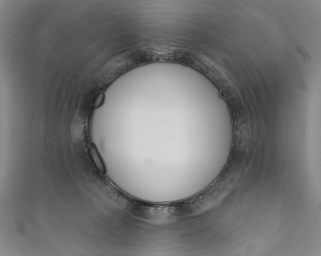 X0000111180225200907221055