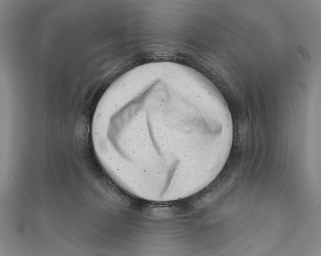 X0000111180228200907221055