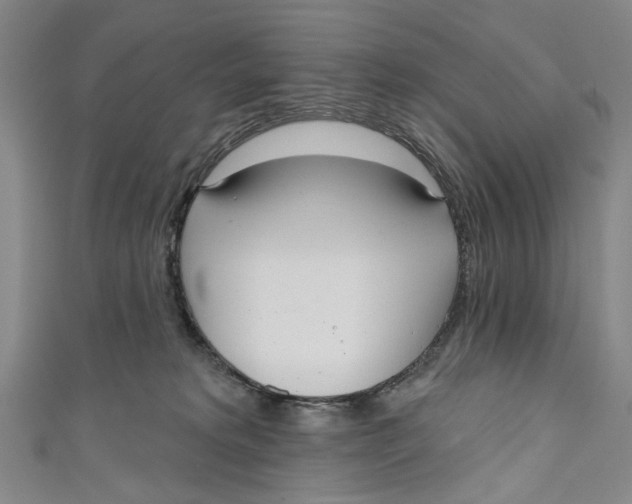 X0000111180229200907221055