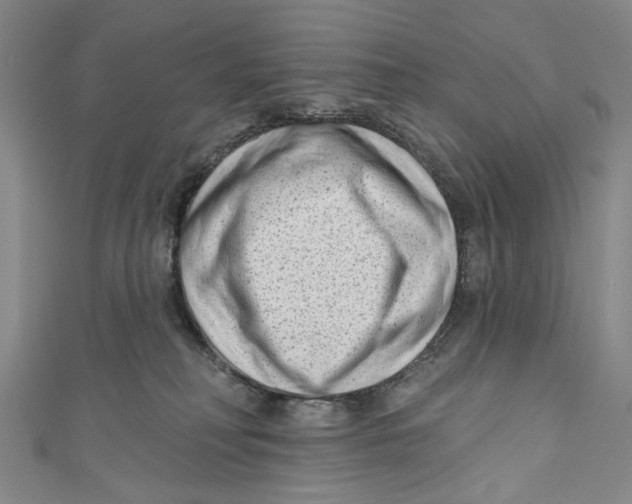 X0000111180230200907221055