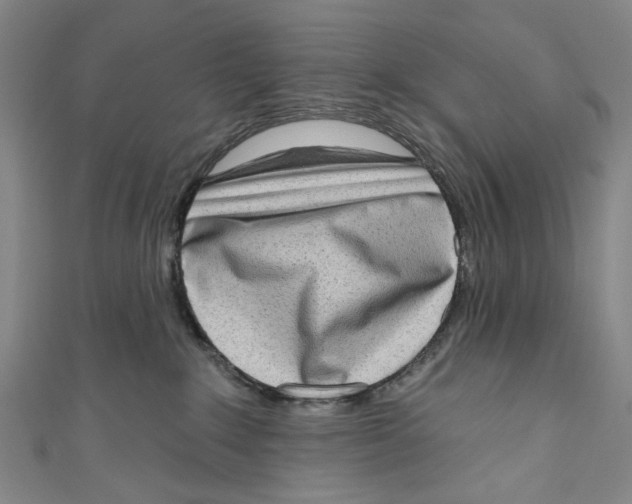 X0000111180235200907221055