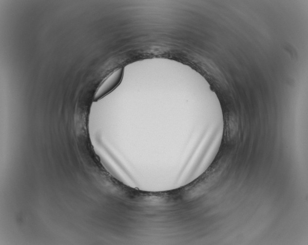 X0000111180236200907221055