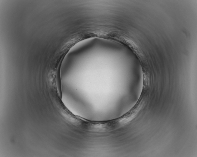 X0000111180237200907221055