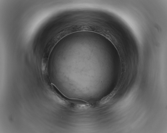 X0000111180239200907221055