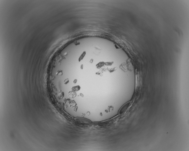 X0000111180243200907221054