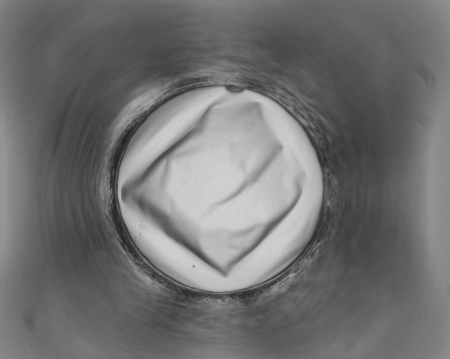 X0000111180245200907221054