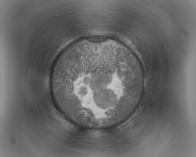 X0000111180249200907221054