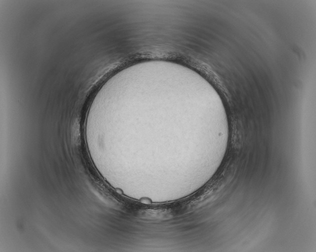 X0000111180251200907221054