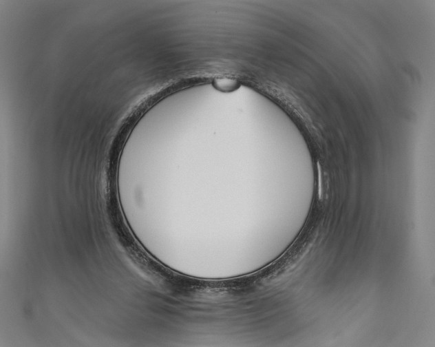 X0000111180252200907221054