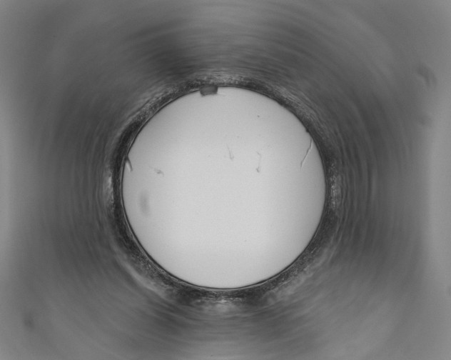 X0000111180254200907221054