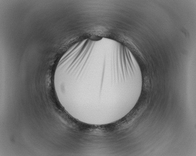 X0000111180259200907221054