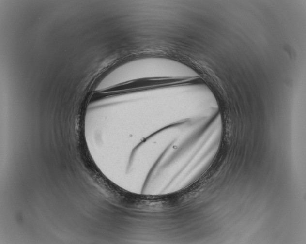 X0000111180260200907221054