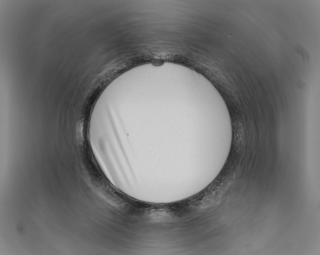 X0000111180262200907221055