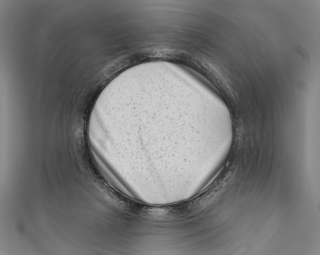 X0000111180265200907221055