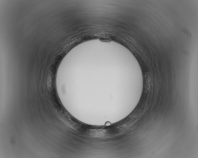 X0000111180266200907221055