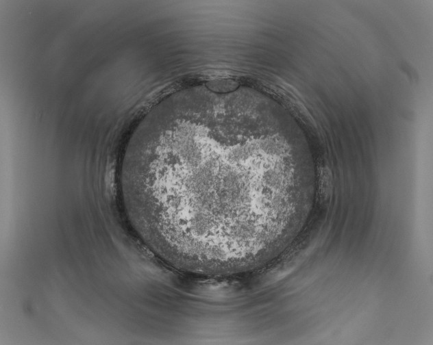 X0000111180267200907221055