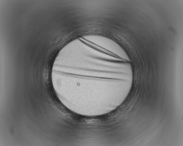 X0000111180268200907221055