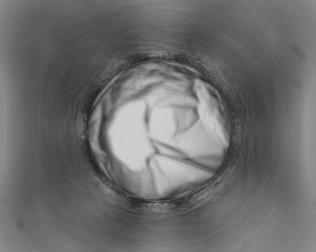 X0000111180273200907221055