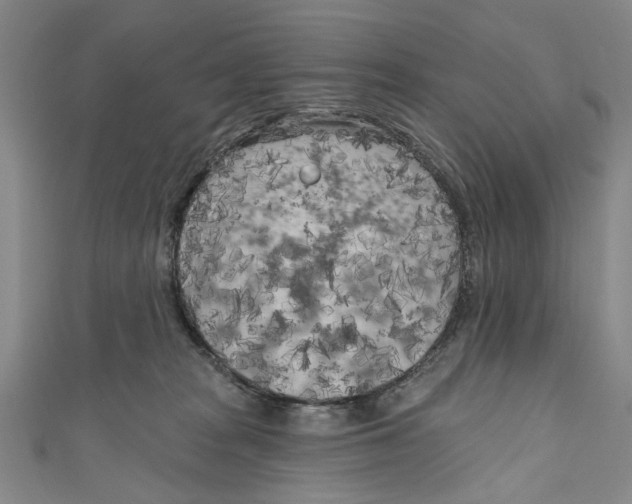 X0000111180277200907221055