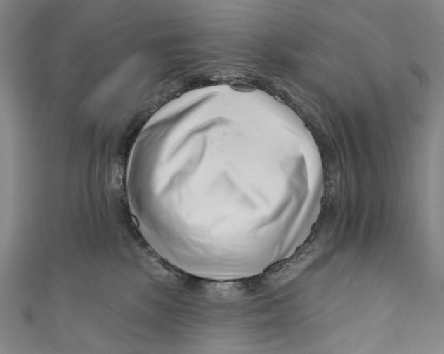 X0000111180281200907221055