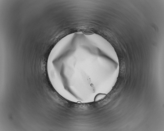 X0000111180282200907221055