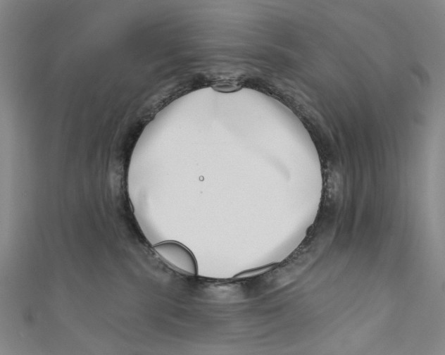 X0000111180283200907221055