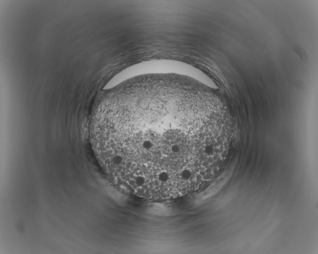 X0000111180285200907221055