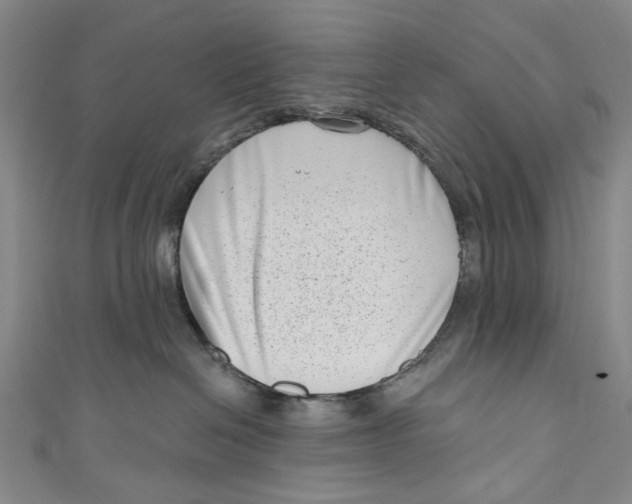 X0000111180286200907221055