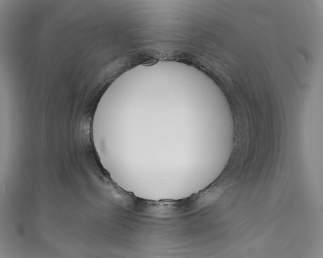 X0000111180288200907221055