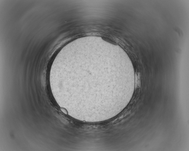 X0000111180291200907221054