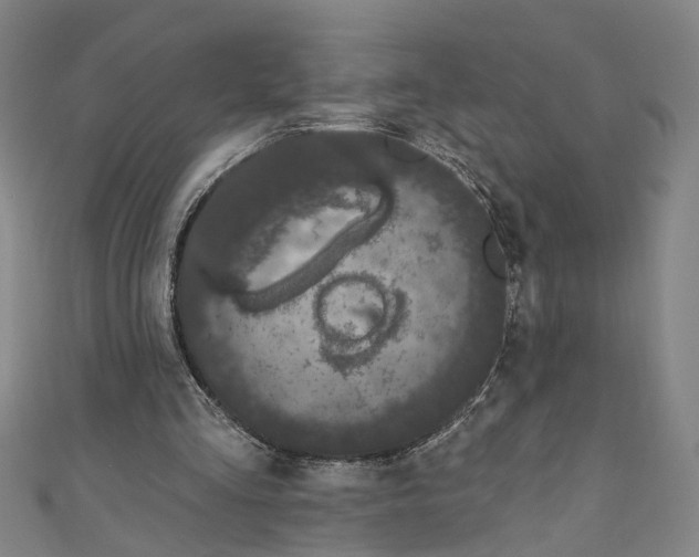 X0000111180293200907221054