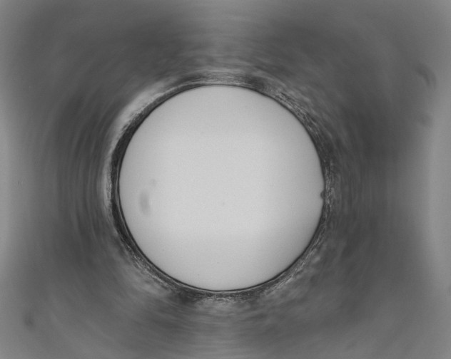 X0000111180294200907221054