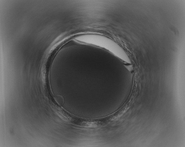 X0000111180295200907221054