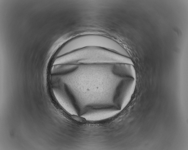 X0000111180296200907221054