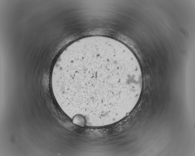 X0000111180297200907221054