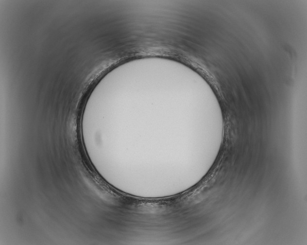 X0000111180298200907221054