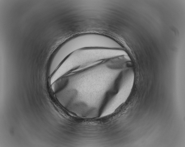 X0000111180299200907221054