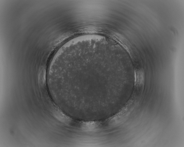 X0000111180301200907221054