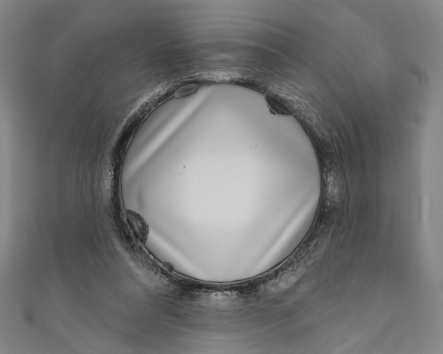 X0000111180304200907221054