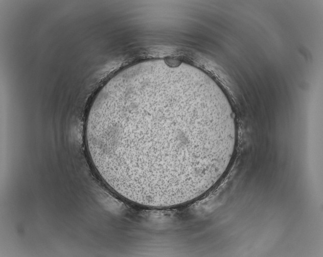 X0000111180305200907221054