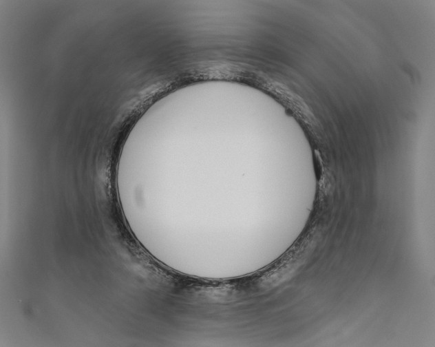 X0000111180306200907221054