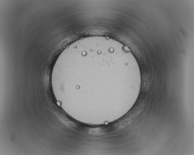 X0000111180309200907221054