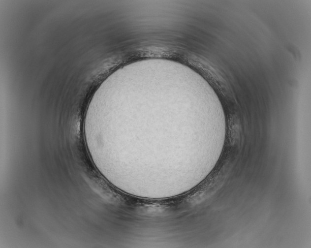 X0000111180310200907221054