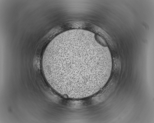 X0000111180313200907221054