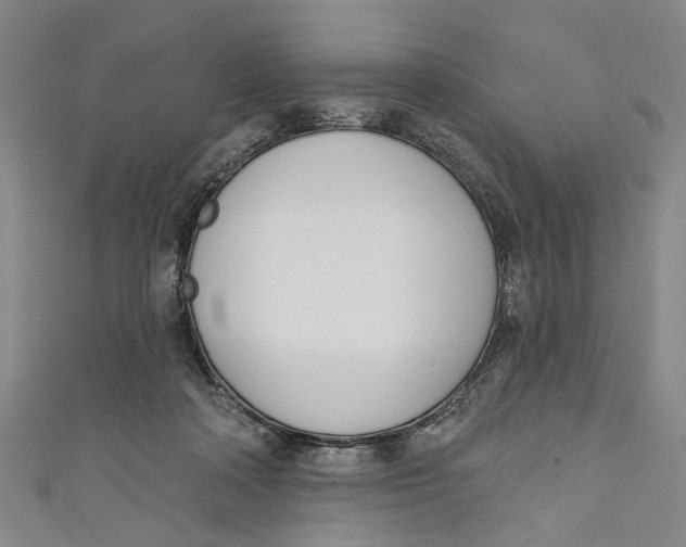 X0000111180314200907221054